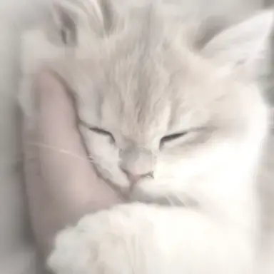 Profile image of ゆな