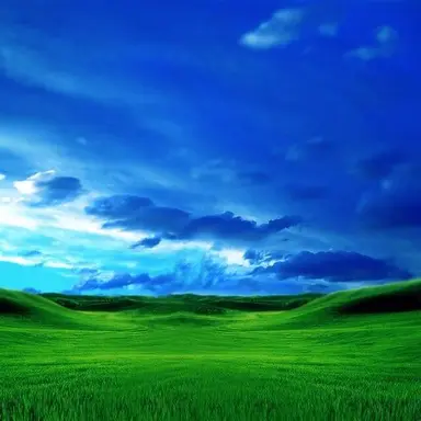 Profile image of 매니저