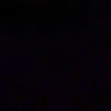 Profile image of リノ