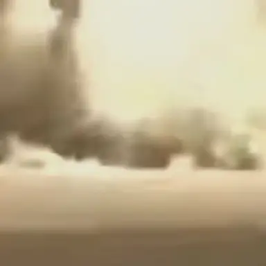 Profile image of 늑대