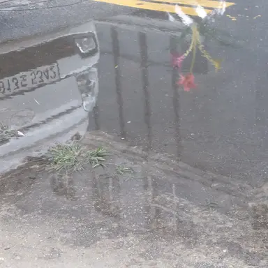 Profile image of 공룡 경장