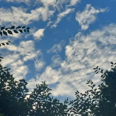 Profile image of 덕개 경장