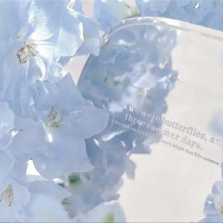 MellowCold9970의 ルミナス魔法高等学園※卒業ライバーあり