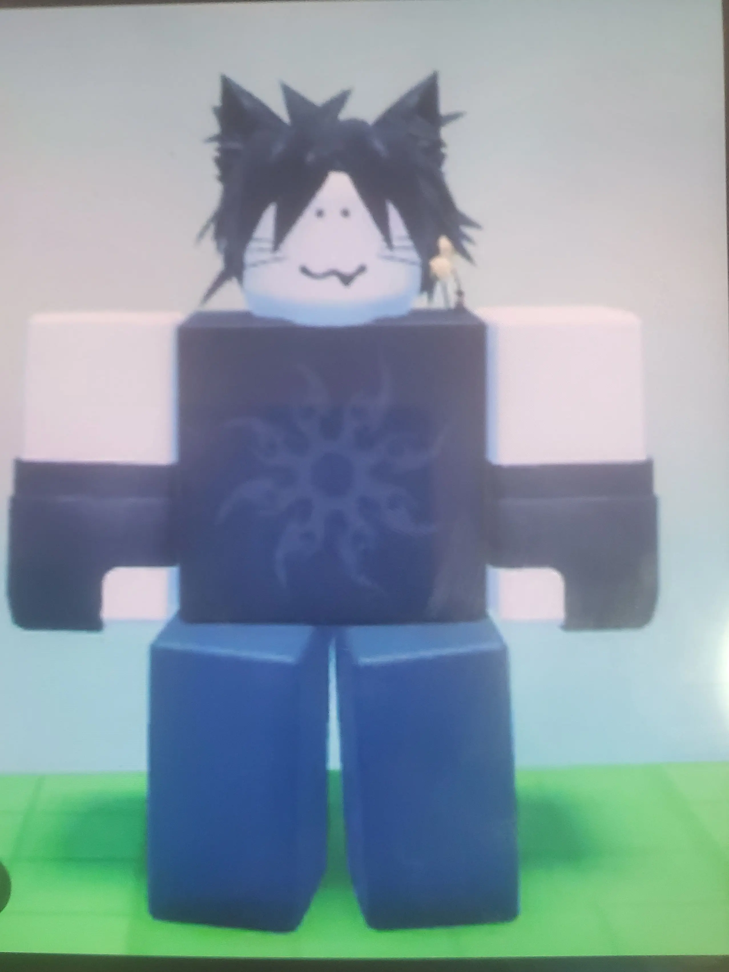 Coolkidddd의 Kitty catと過ごそう:)