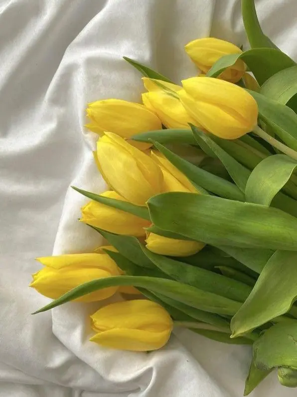 anther의 観音坂。