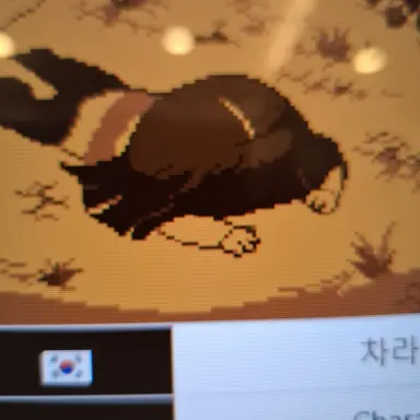 Profile image of 차라