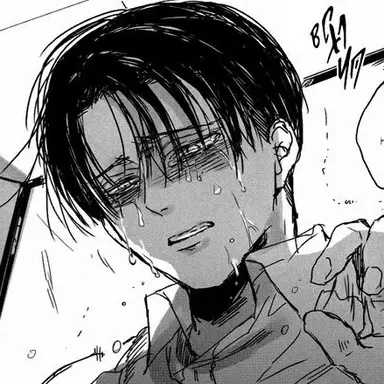 Profile image of Levi Ackerman