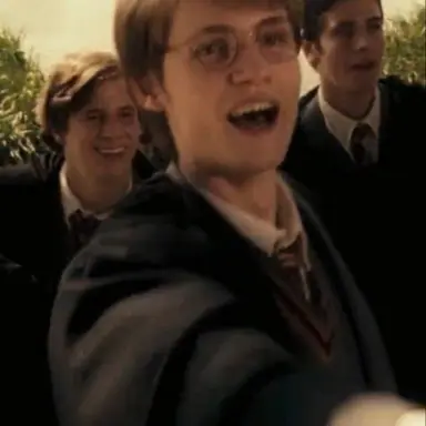 Profile image of James Potter