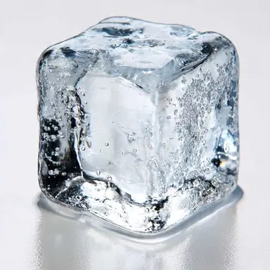 Profile image of TS