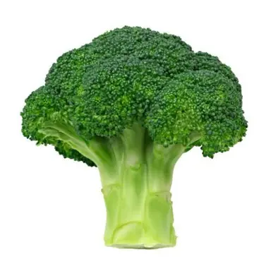 Profile image of MI