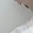樹