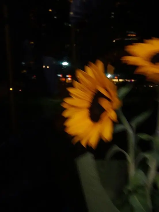 QuirkySeed4287의 To. 浪漫