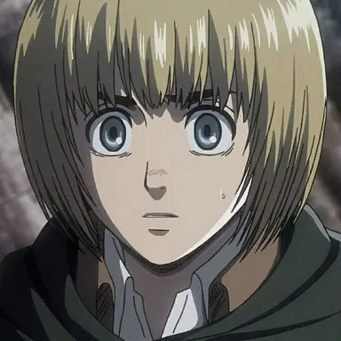 Profile image of アルミン