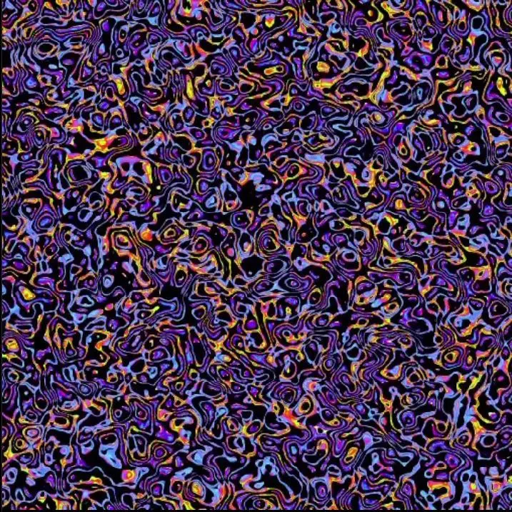 PlumpDiary3203의 Regulus black