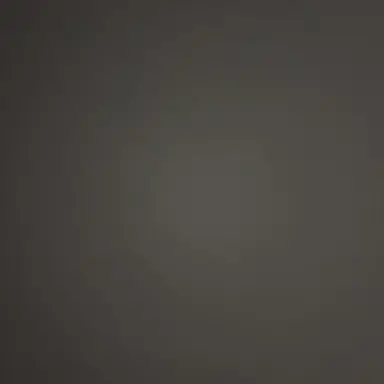 Profile image of 레비엣 백작부부