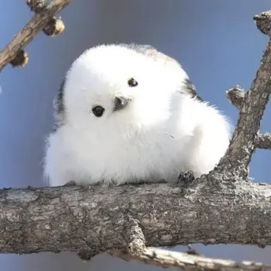 Profile image of 하나