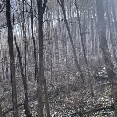 Profile image of 명 재 현