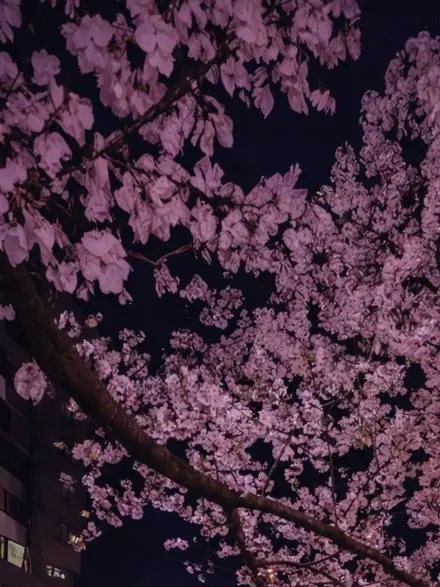 FullSkin2265의 曖昧な関係