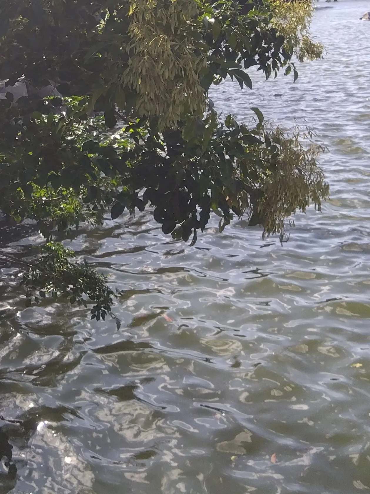 Mrs.REDAPPLE의 attitude