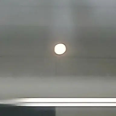 Profile image of 존  도