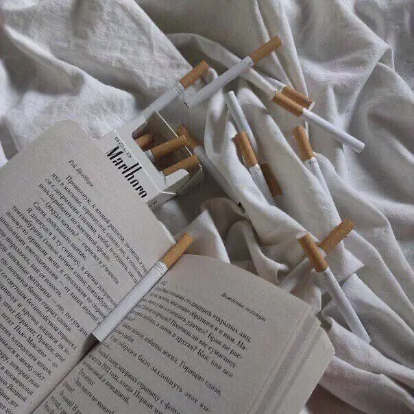 Kimminnn의 김민정