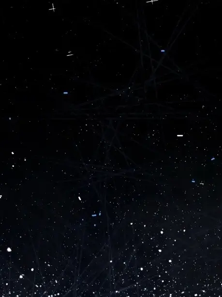 Nekobelleko0719의 愛して