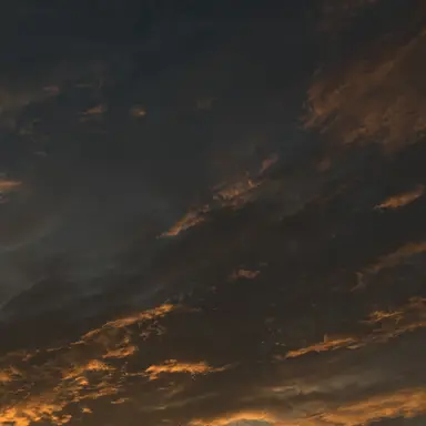 Profile image of 이열