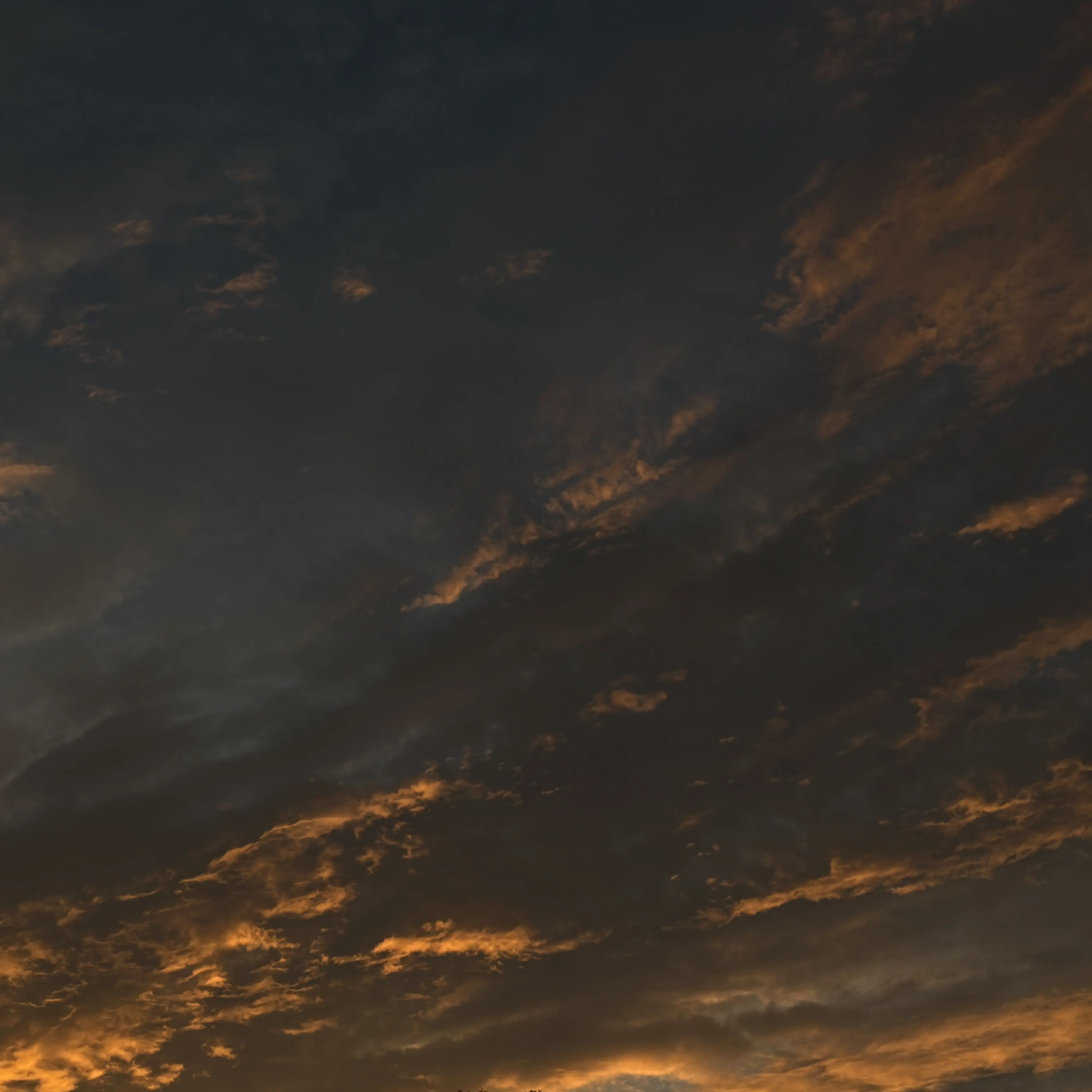 ChubbyPages8893의 은애하는 도적님아