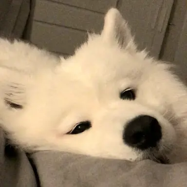 Profile image of 구름