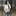 한미현