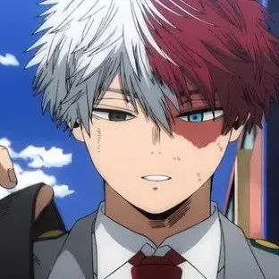 Profile image of Shoto Todoroki