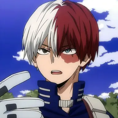 Profile image of Shoto Todoroki