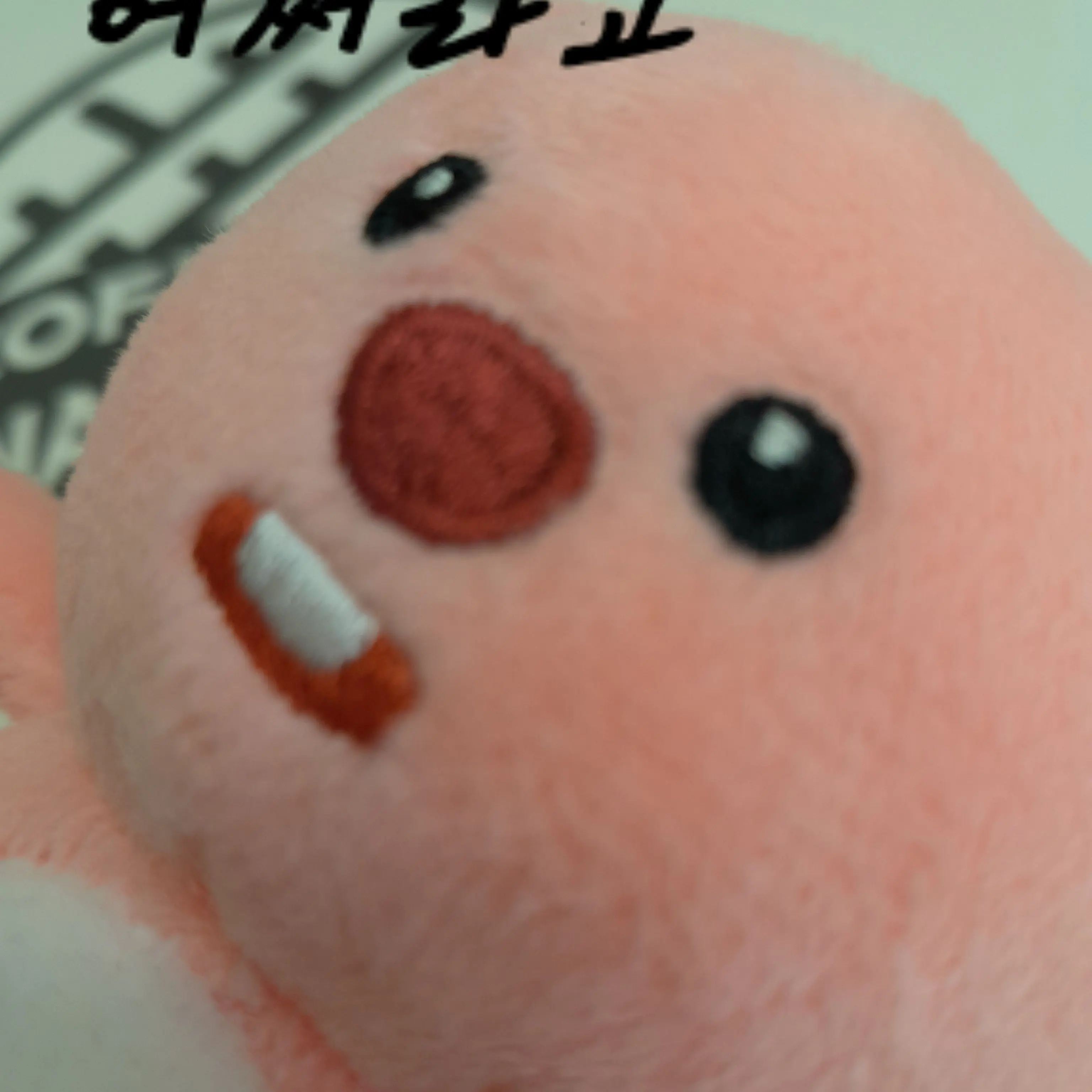 yryryr의 아무렇게 하세요.