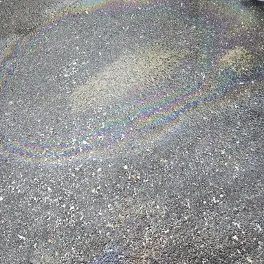 Profile image of 최여우