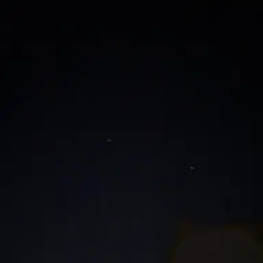 Profile image of 小島健