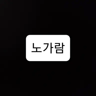 Profile image of 노가람