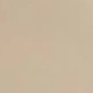 Profile image of 白虎