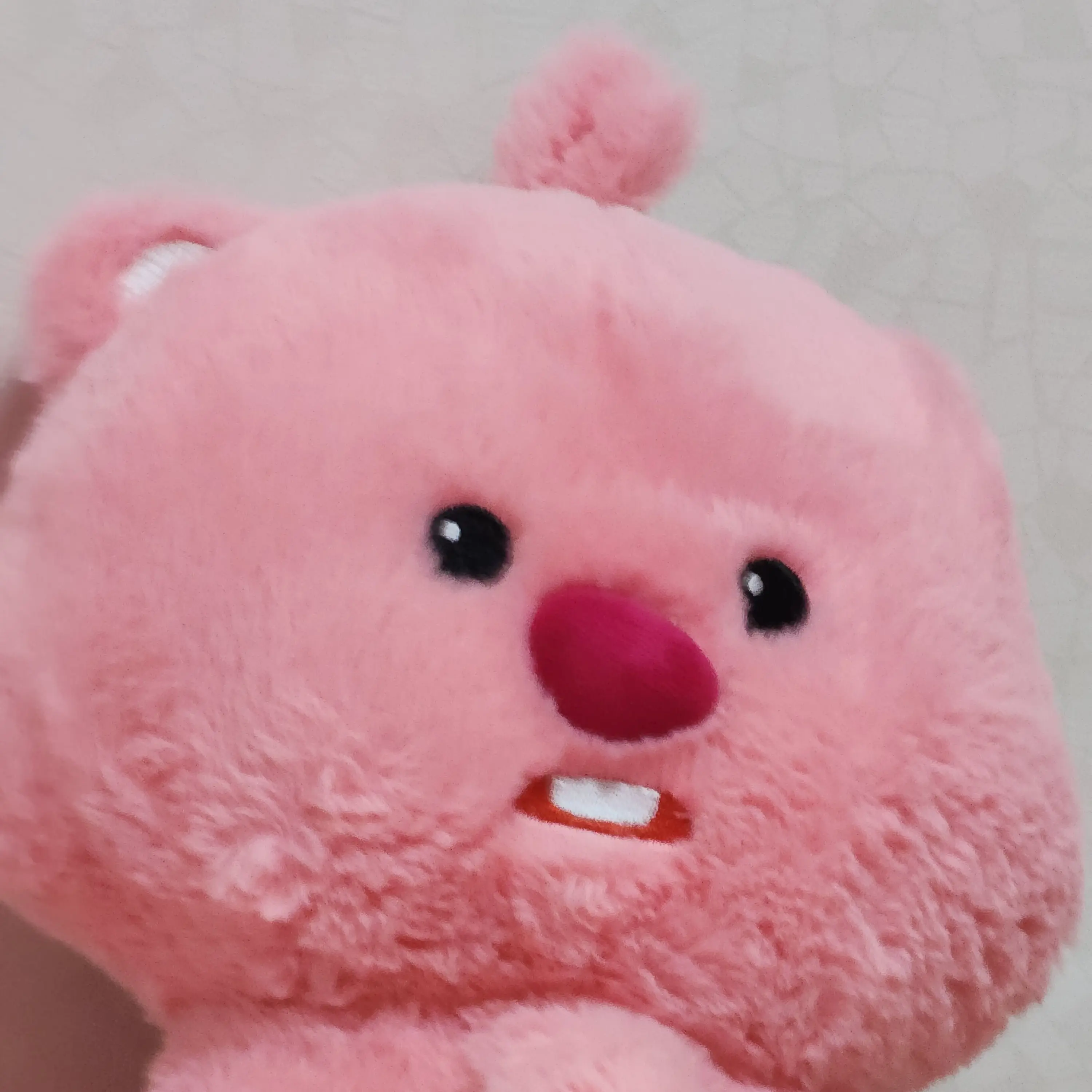 SnugWell2594의 루피루피 팡팡 구리