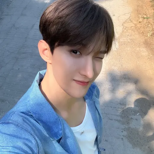 Seobin_8의 이석민 (세븐틴)