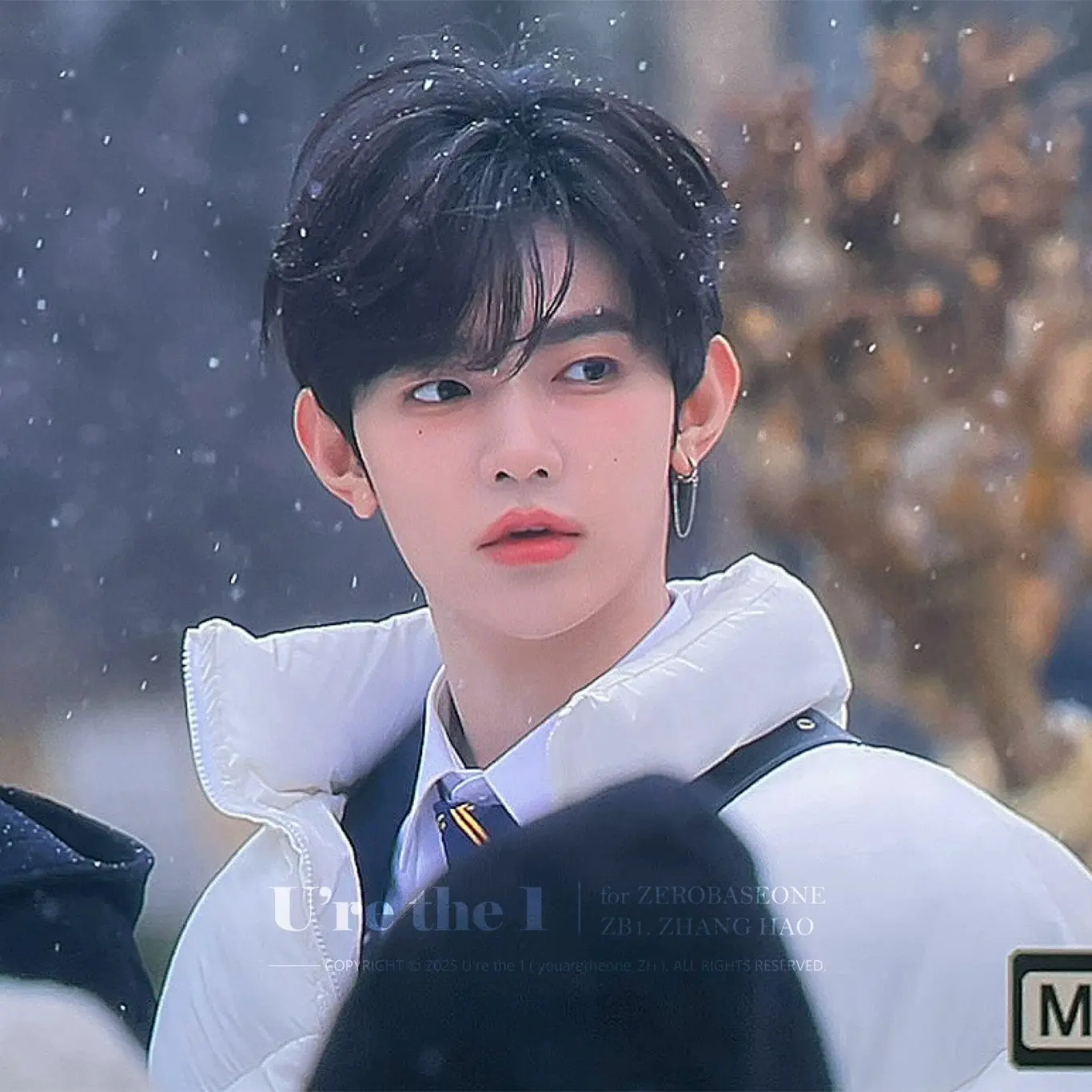 Zhanghaoo의 장하오