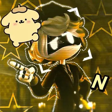 Profile image of N
