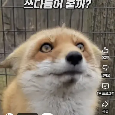 Profile image of 여우