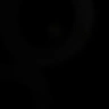 Profile image of 이용복