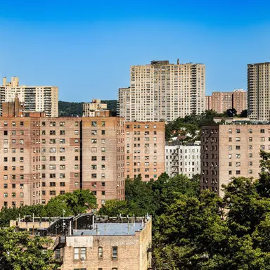 Profile image of The Bronx.