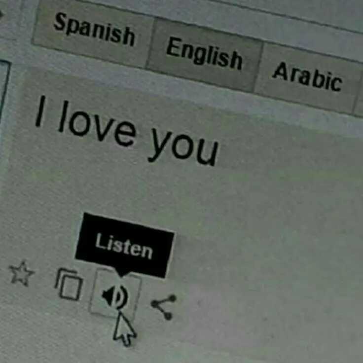 whswkfdyddkatkddj의 삵은 지금 인간 세계 잠입 중