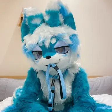 Profile image of 퍼슈터 2