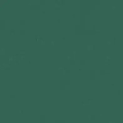 MintyDill3836의 エス
