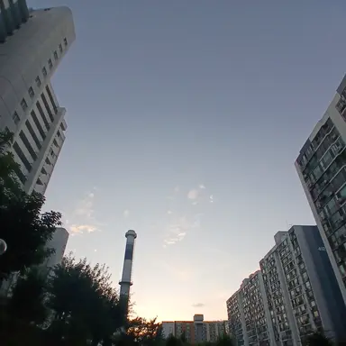 Profile image of 코아