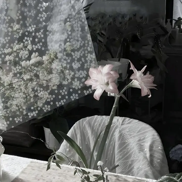 MintyCoati5114의 ！