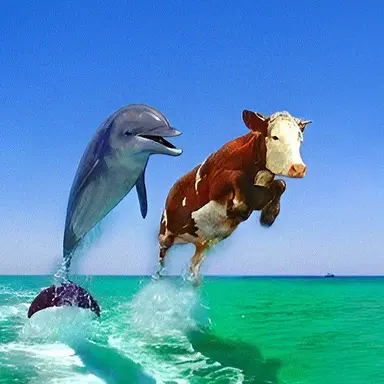 Profile image of 냉장고에서살는소고기